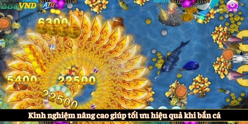 Kinh nghiệm nâng cao giúp tối ưu hiệu quả khi bắn cá